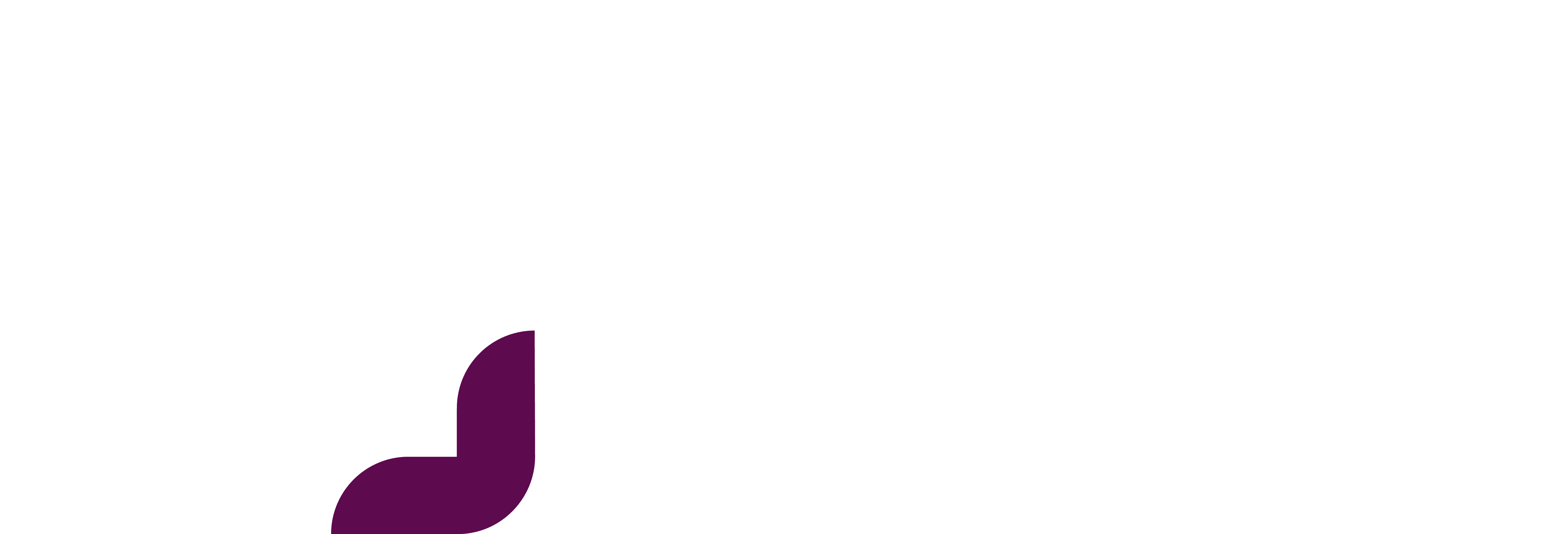 Logo webmecanik academy blanc